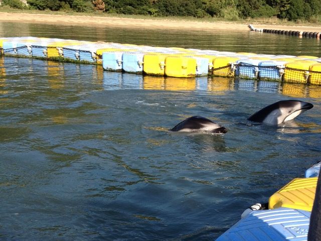 ���邩����_���{�h���t�B���Z���^�[