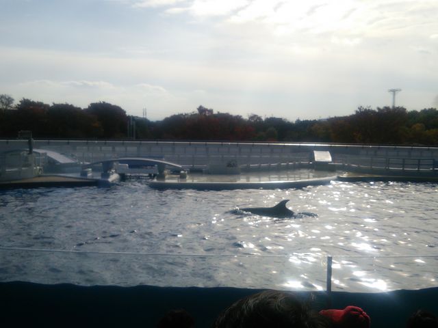 ���s������