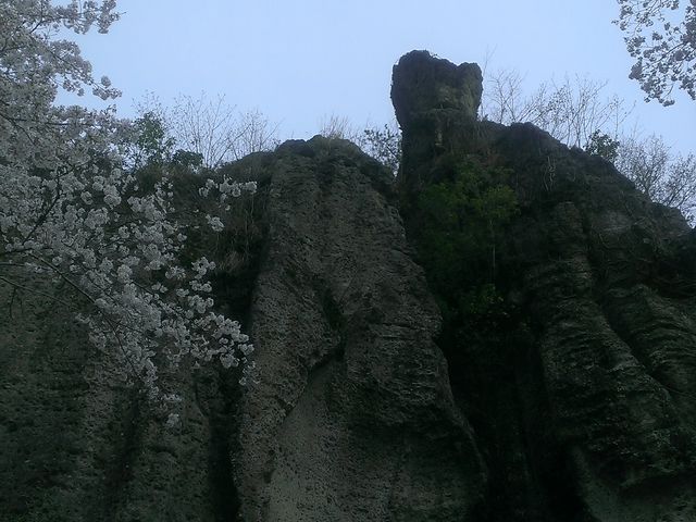 �V��̓��΁B_��J�i�ό���