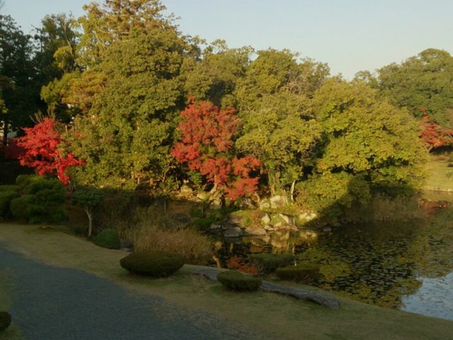 お庭_衆楽園
