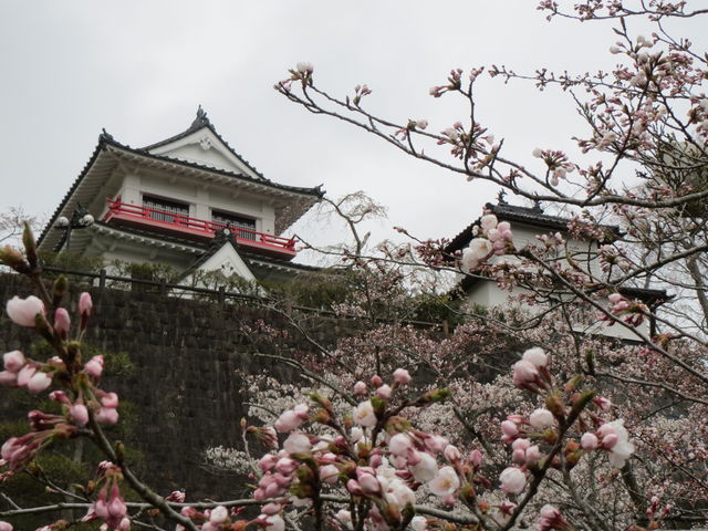 城山公園 アクセス 営業時間 料金情報 じゃらんnet