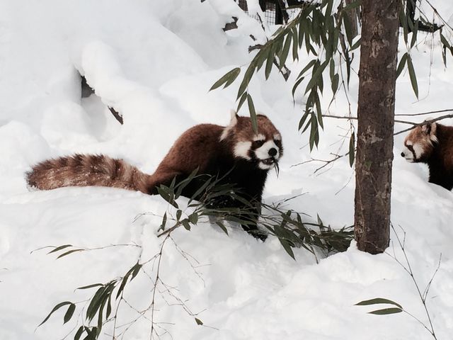 �~�R������