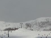 iwtaka����̃n�`�����̓��e�ʐ^1