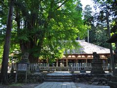 ^bN̐V{F_Ђւ̓eʐ^2