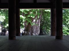 ^bN̐V{F_Ђւ̓eʐ^4