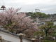 旅からすさんの浄土寺（広島県尾道市）の投稿写真1