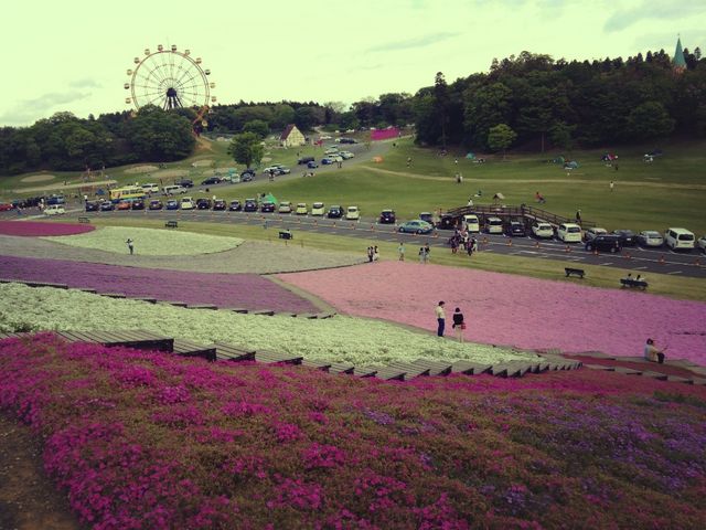 ���[���Ǝō����������Ă悤�₭����܂���(�L��`)�����̃o�[�x�L���[���������������ł���_�����h�C�c��