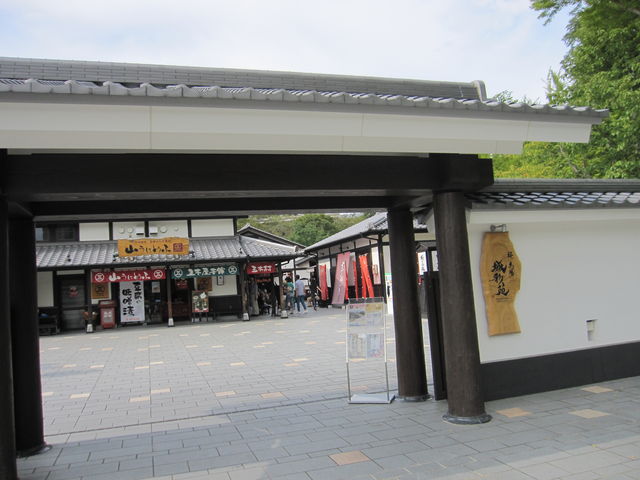 2014�N9��14���B�e�j
���̔n��u��ʉ��v
_���̔n��@��ʉ������ό��ē���