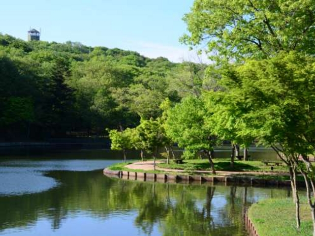 �V�΂��r�ɉf���Ă��܂��B_�k�R����