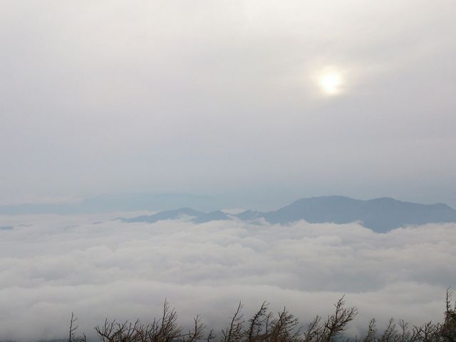 ���E���뎩�R�T���H