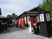 񂳂̍̔n@ʉόē̓eʐ^3