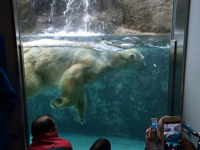 ���R������