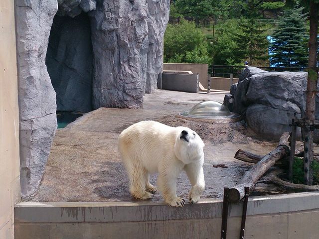 ���R������