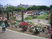 Ƃ炶낤̎ቀo̓eʐ^1