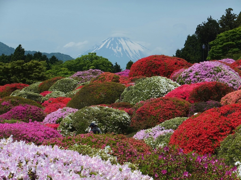 神奈川の動物園 植物園ランキングtop10 じゃらんnet