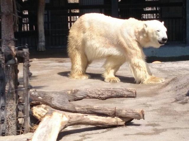 �������͂�����܂����B_���R������