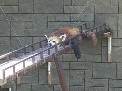 teftefさんの浜松市動物園の投稿写真1