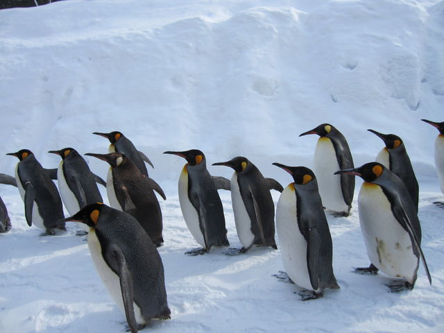 ���R������