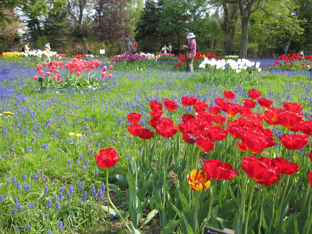 �S����������