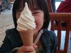 �E���^�}����̏��M�@�m�َq�܁@���^�I�ւ̓��e�ʐ^1