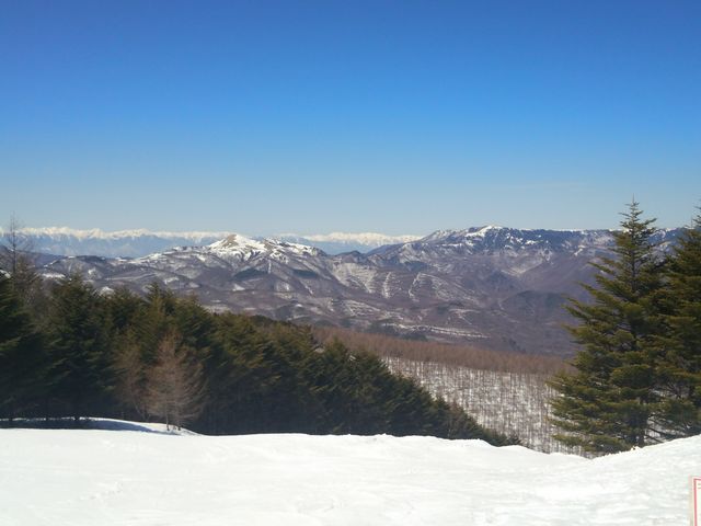 �u�����V��������܃X�L�[��