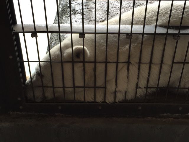 ��Ɏ�����Ȃ��Ă��A����Ȃɋ߂��Ɍ�����B_���R������