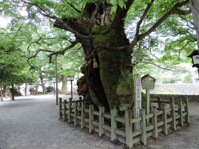 ���Ȃ�̑���_��h�_�Ђ̃P���L