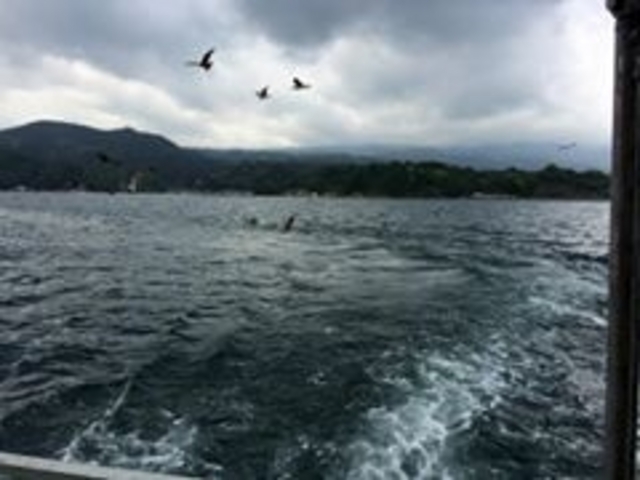 �x�͘p�t�F���[