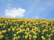 ܂߂̂т΃oC̐̓eʐ^2