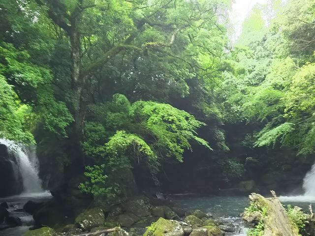 �E�s�ł���_�v�w��