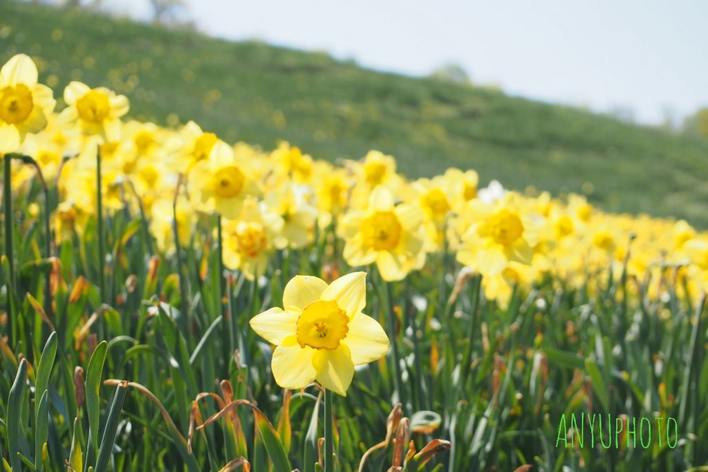 滋賀の動物園 植物園ランキングtop10 じゃらんnet