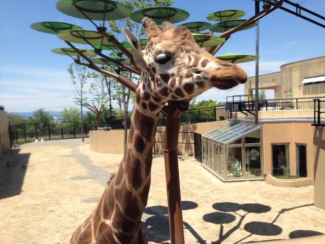 �L������_���R������