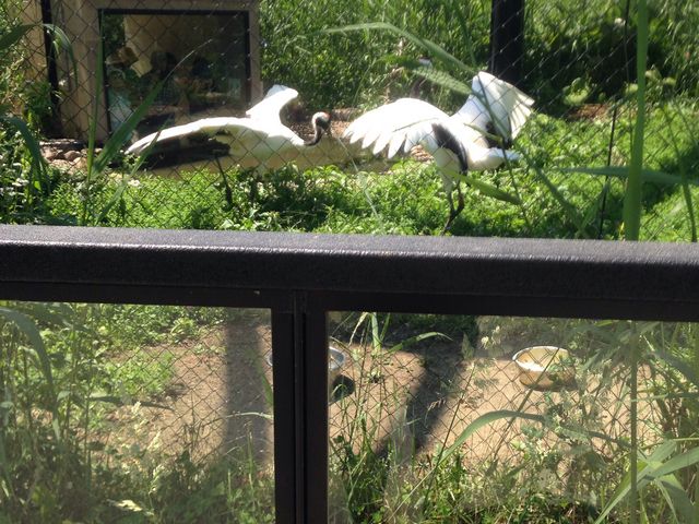 �O���߁�_���R������