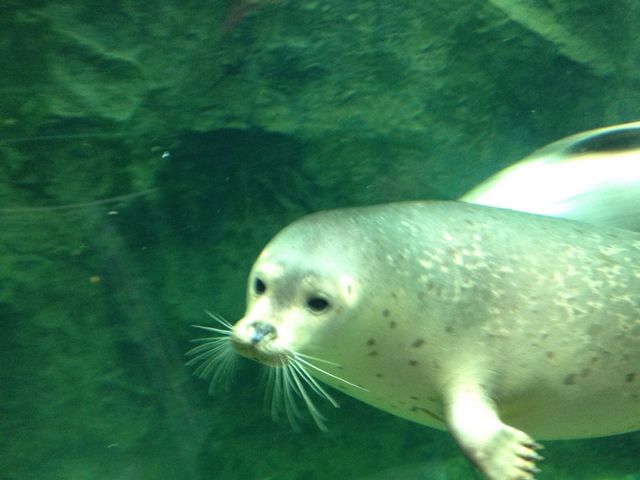 �A�U���V��_���R������