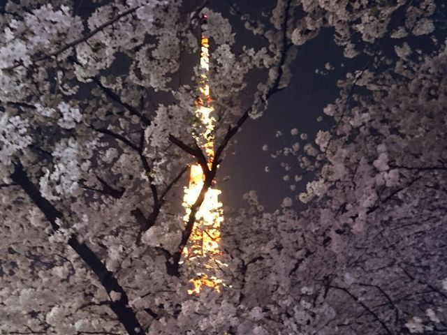 �Ō����y�ё��㎛�����̍�