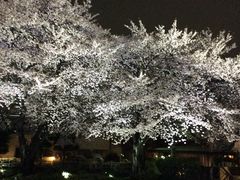 �c�f������������̎��R�w�������قւ̓��e�ʐ^1