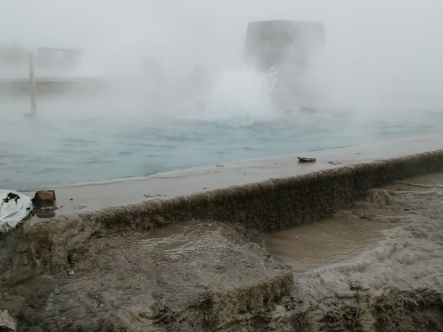 100���̌���_�w���V�[�����h�I�V���C�u���܂Ĕ�����v