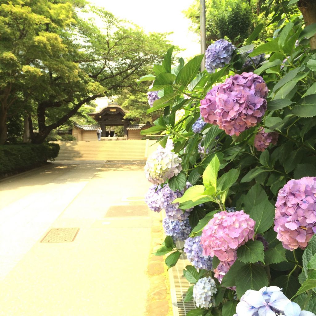 円覚寺