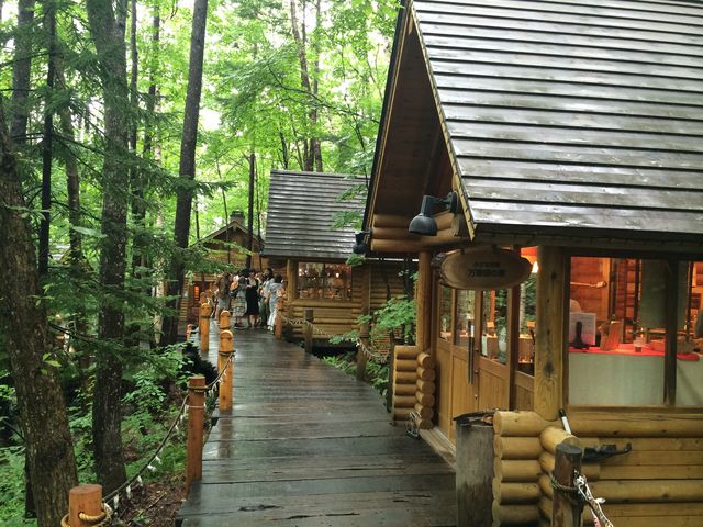 �K�i�������Ƃ���Ȋ����ł��B_�V���b�s���O���[�h�u�j���O���e���X�v