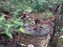 Ƃ񂳂̃VbsO[hujOeXvւ̓eʐ^2