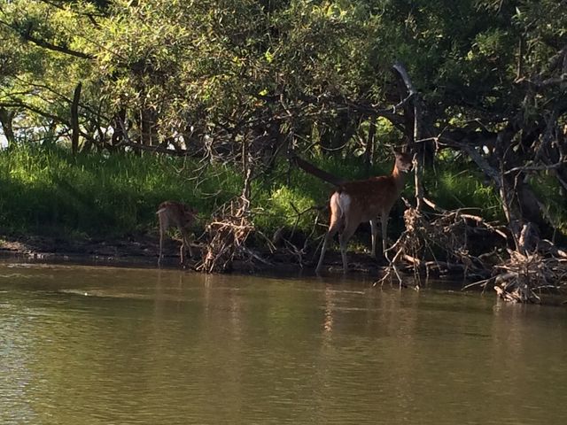 �G�]�V�J������_������ЃJ�k�[�v��