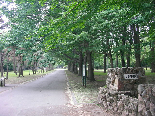 ���R���������ł�_�~�R����