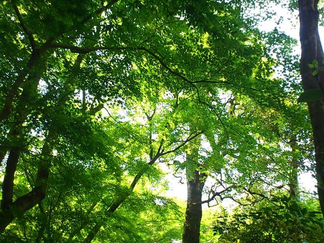 �钎��(�،����j