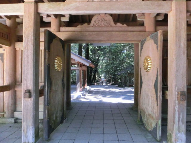 mimi����̋���̐����؂̓��e�ʐ^1