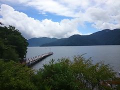 ���T���΂̎ʐ^1