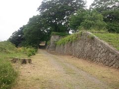 В{̃ApJ̉Ղւ̓eʐ^1