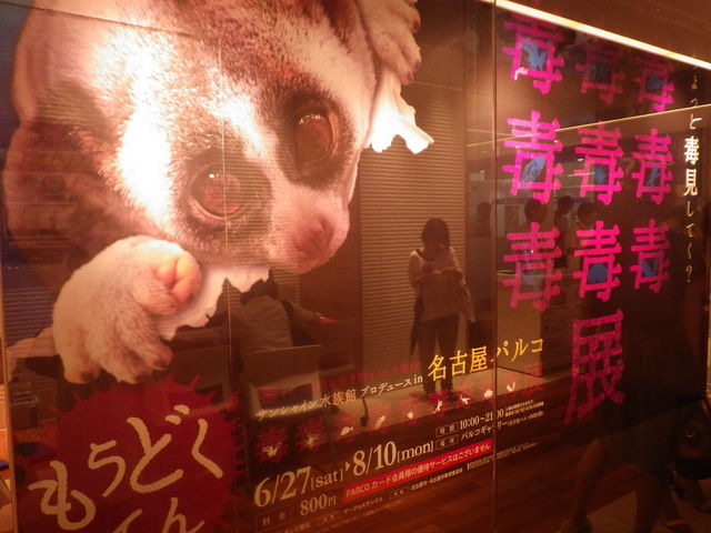 ���É��p���R