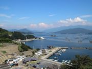 mei̗Vq׉Y̒i̓eʐ^1