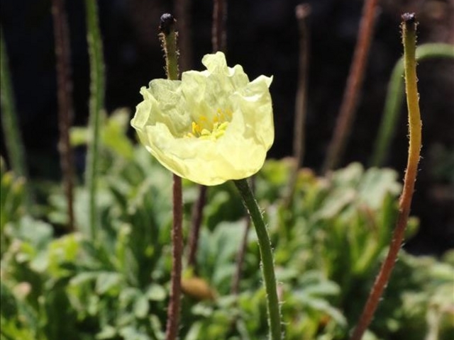 ���V���q�i�Q�V_���K�R