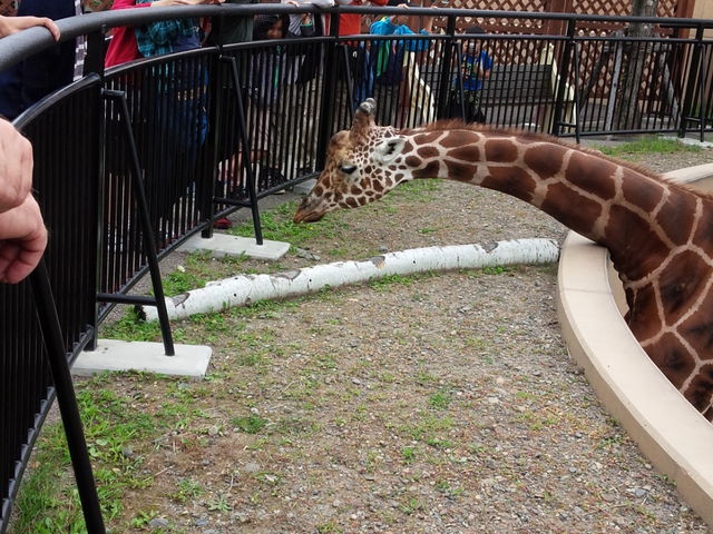 ���R������